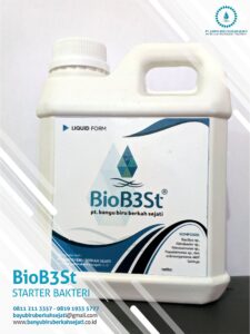 Bakteri Ipal BioB3St